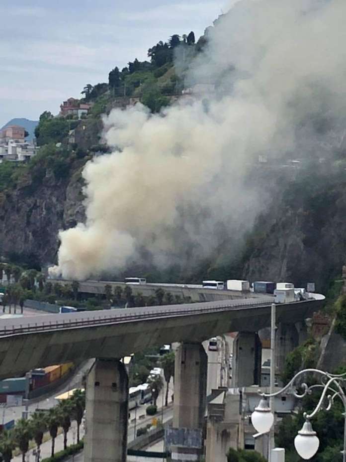 incendio ponte gatto