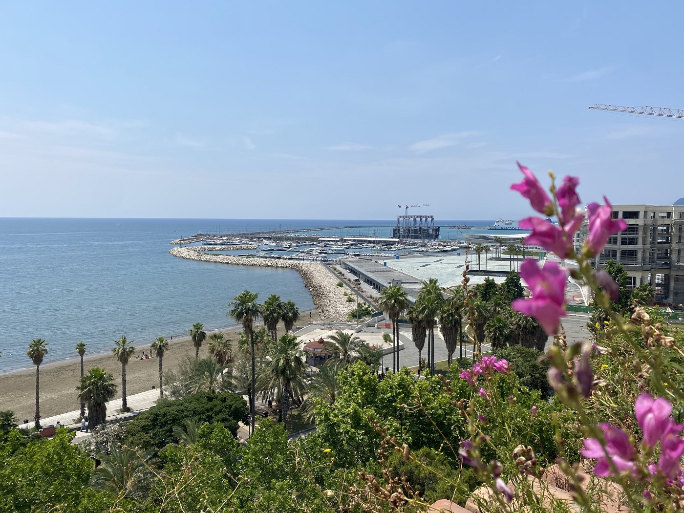 salerno