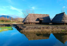Poggiomarino, riapre il Parco Archeologico Naturalistico di Longola