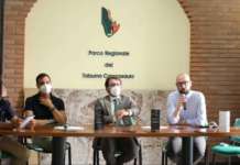 Bct Music Festival: ecco gli eventi suggestivi in programma da sabato a Camposauro