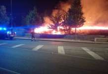 Pacevecchia, vasto incendio di sterpaglie e vegetazione – FOTO