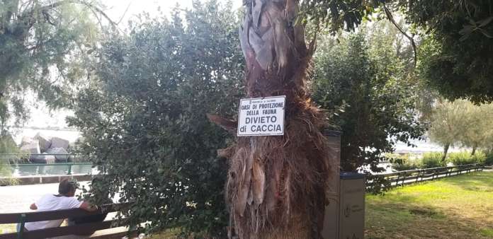 aiuole salerno