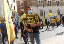 Stop all’invasione dei cinghiali: anche nel Sannio la protesta della Coldiretti