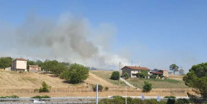 contrada roseto incendio