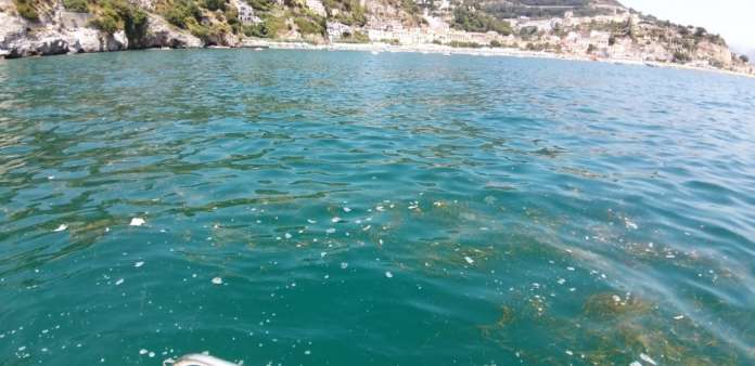mare vietri