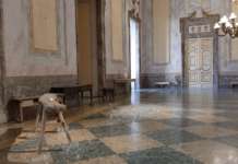 Special Terrae Motus alla Reggia: due giorni dedicati alla collezione di Luciano Amelio