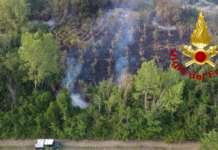 Grosso incendio boschivo, paura a Manocalzati