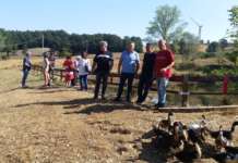 Arte, natura e cibo contadino: terzo appuntamento dell’AgriFestival