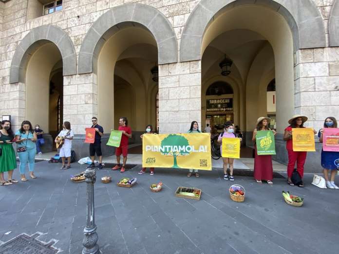 animal save salerno