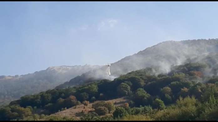 cusano mutri incendio
