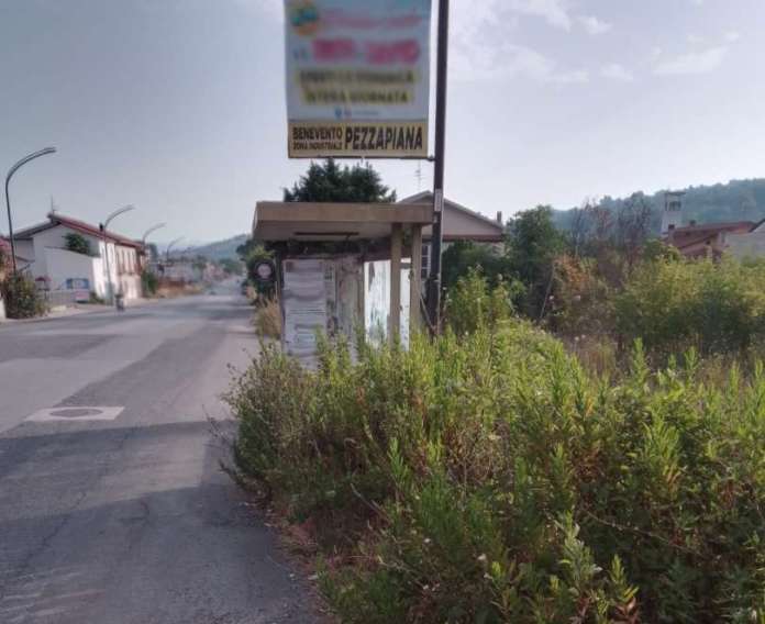 foto pensilina2