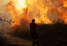 Incendi, bruciano numerosi boschi nel Casertano: vigili del fuoco impegnati su più fronti