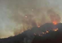 Valle dell’Irno, spento l’incendio a Pandola
