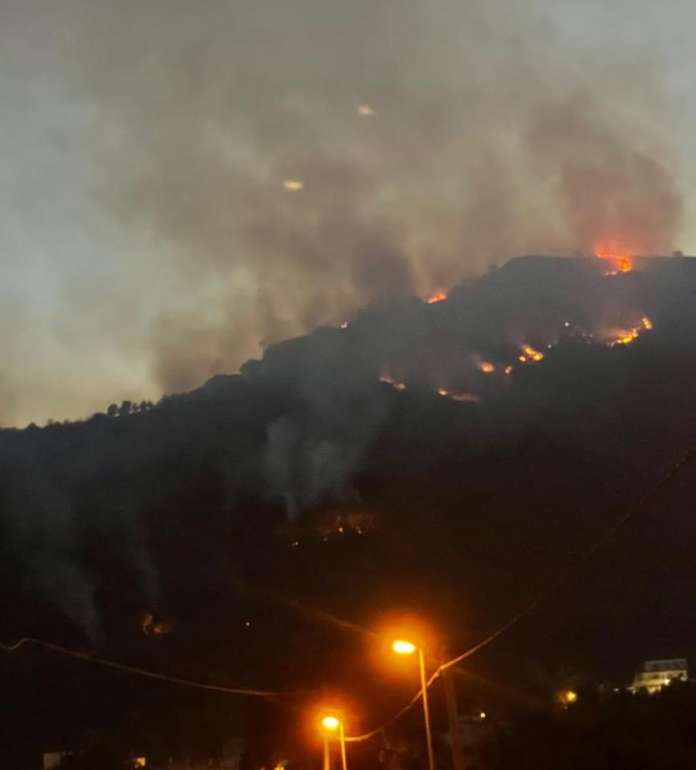 incendio pandola2