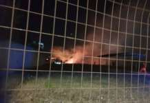 A fuoco vegetazione a San Nazzaro, Vigili del Fuoco al lavoro