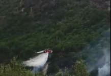 Ancora roghi nel Sannio, a fuoco 20 ettari di bosco a Sant’Arcangelo Trimonte (VIDEO)
