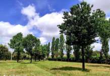 Marcianise, domenica festa di fine estate presso il Parco Urbano