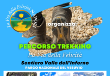 Percorso trekking con La via della Felicità: volontari lungo il Sentiero Valle dell’Inferno