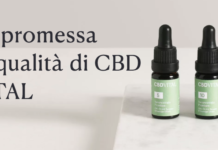 Olio di CBD per animali domestici: come utilizzarlo su cani e gatti
