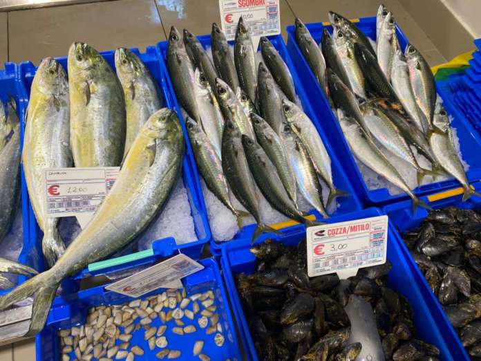 cassette riutilizzabili pesce