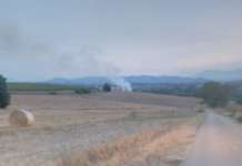 Vasto incendio in contrada Coluonni: rotoballe in fiamme, caschi rossi al lavoro