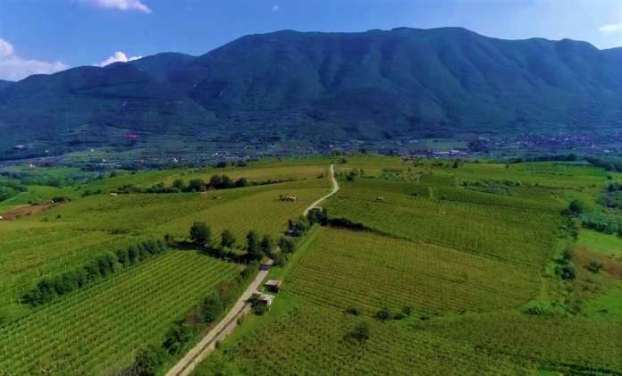 foto taburno