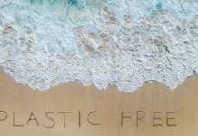 Anche a Telese Terme l’evento nazionale Plastic Free: Ecco come partecipare