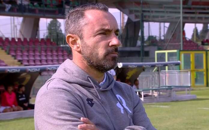 Brocchi del Vicenza