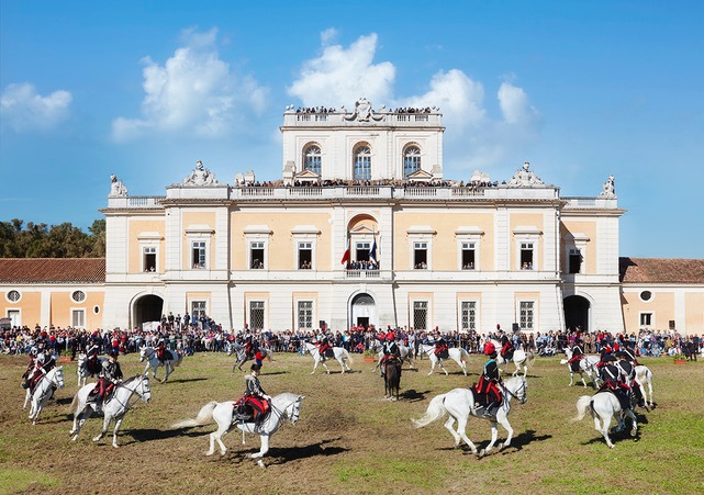 Cavalli & Cavalieri