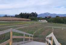 Ciclocross a Puglianello, cresce l’attesa per l’evento di domani