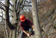 Salerno: operai forestali in agitazione, Natale sotto la Regione?
