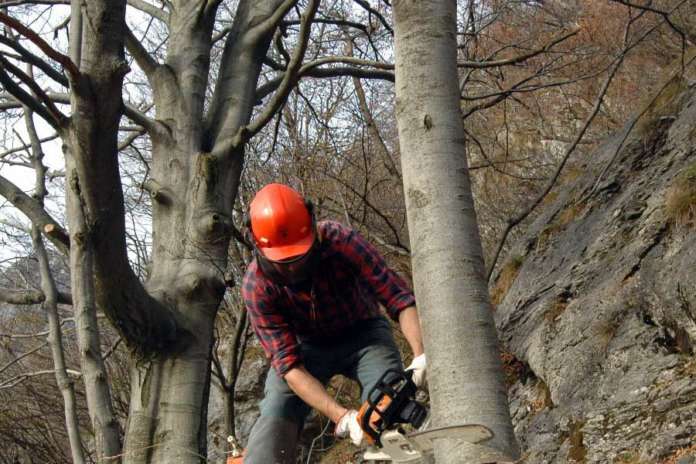 Idraulico forestali