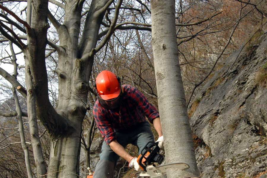 Idraulico forestali