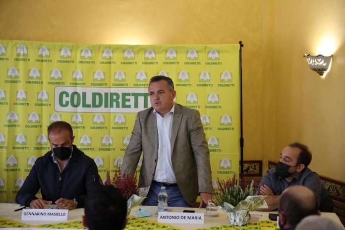 PROGETTO RUCANET