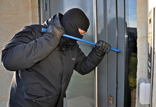 burglar-g2db7d445f_640