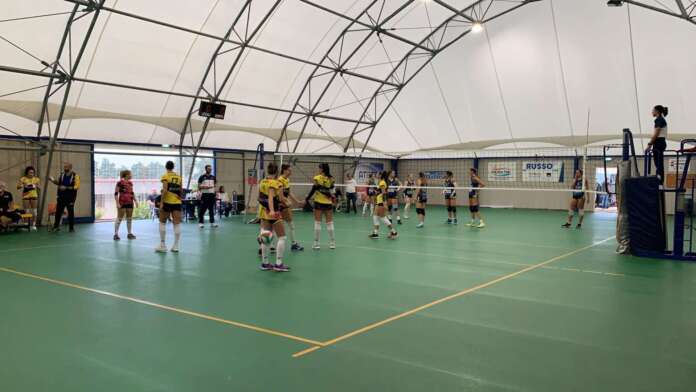 forex olimpia san salvatore