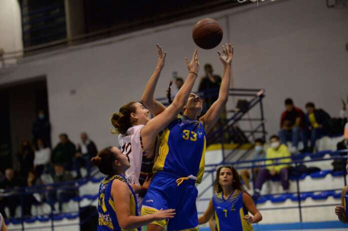 opacic stabia