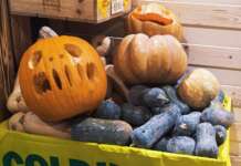 Halloween, dal gelato alle decorazioni: a Napoli è Zucca Day