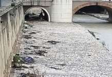 Fiume Irno, la capanna sotto al ponte per ripararsi dalla pioggia