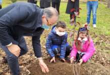 Il Green Tour di Gesesa fa tappa a Castelpoto, piantati alberi al Parco S. Andrea e all’I.C. Padre Isaia Columbro