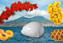 Sviluppo e promozione territoriale. Al via la 14° edizione di “A Natale Consuma Campano”