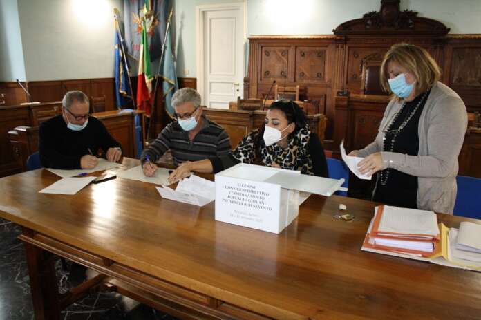 elezione consiglio