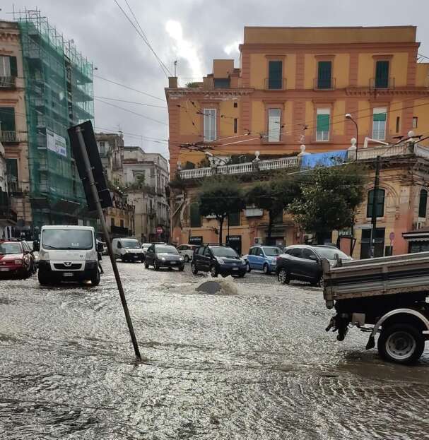 portiici