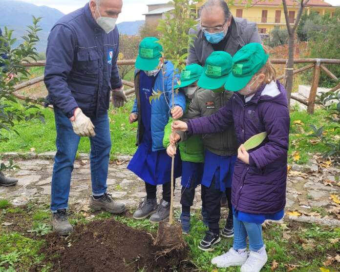 tocco2