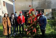 Solopaca, albero di Natale illuminato dalla solidarietà e dall’integrazione