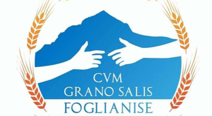 foglianise-grano