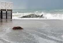 Ripascimento, la nuova spiaggia finisce sott’acqua (VIDEO)