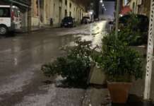Pioggia e vento in città: pochi disagi e nessuna situazione di forte rischio