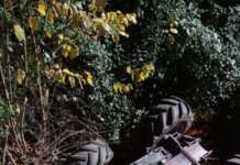 Incidente agricolo a Telese, deceduto un uomo schiacciato dal trattore