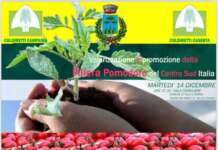 Filiera del Pomodoro, Coldiretti riunisce gli stakeholder del Centro-Sud